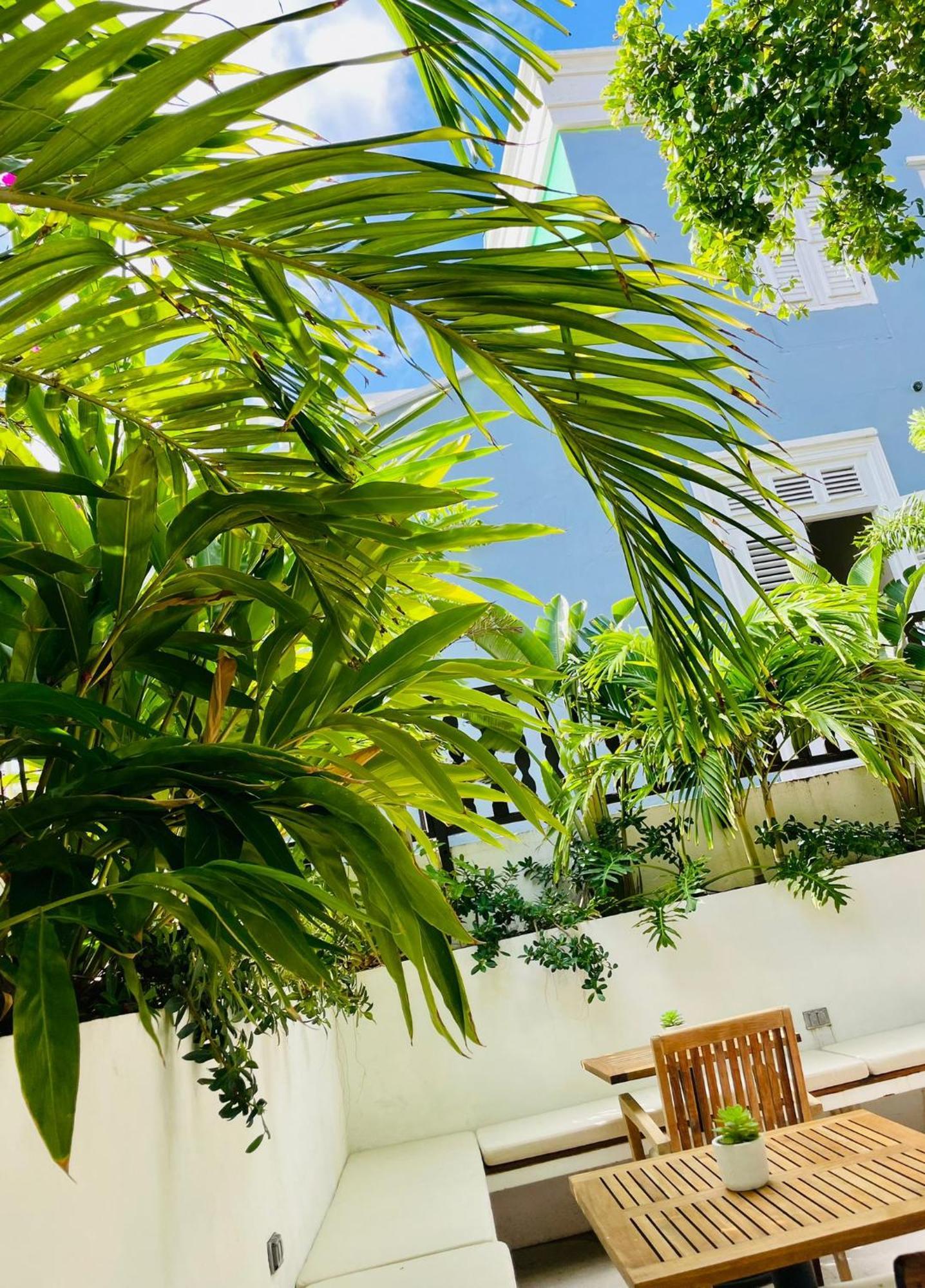 Atelier Skalo Boutique Hotel Willemstad Eksteriør billede